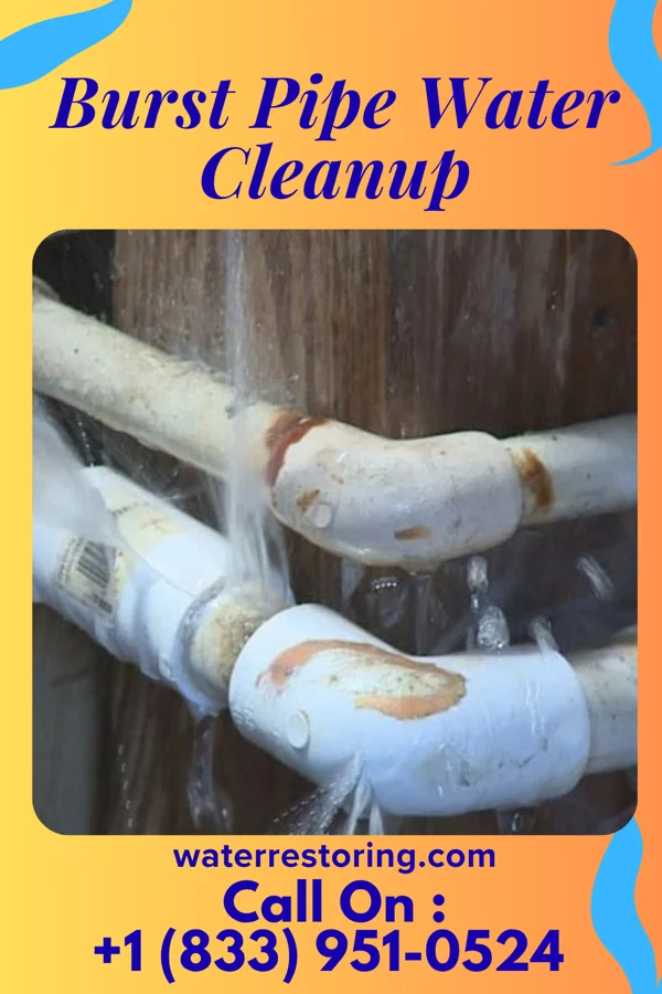 Burst Pipe Water Cleanup in Camp Springs, MD