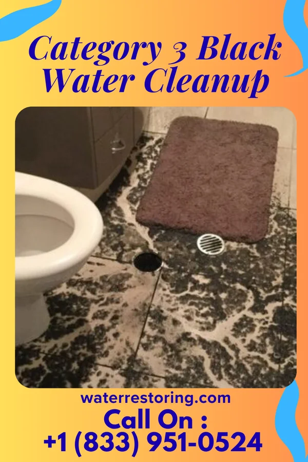 Category 3 Black Water Cleanup in Camp Springs, MD