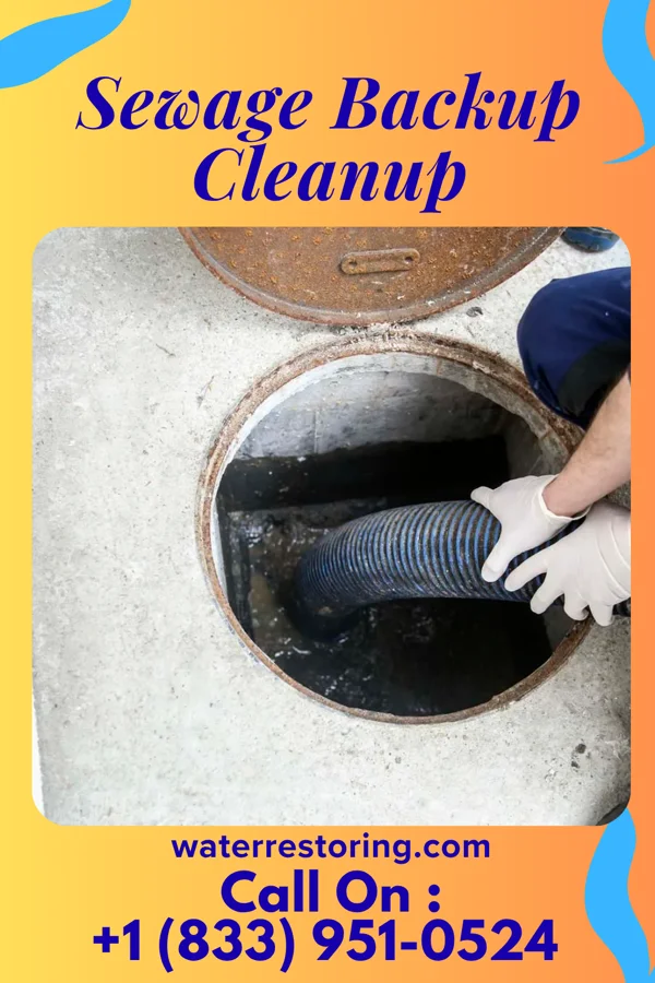 Sewage Backup Cleanup in Camp Springs, MD