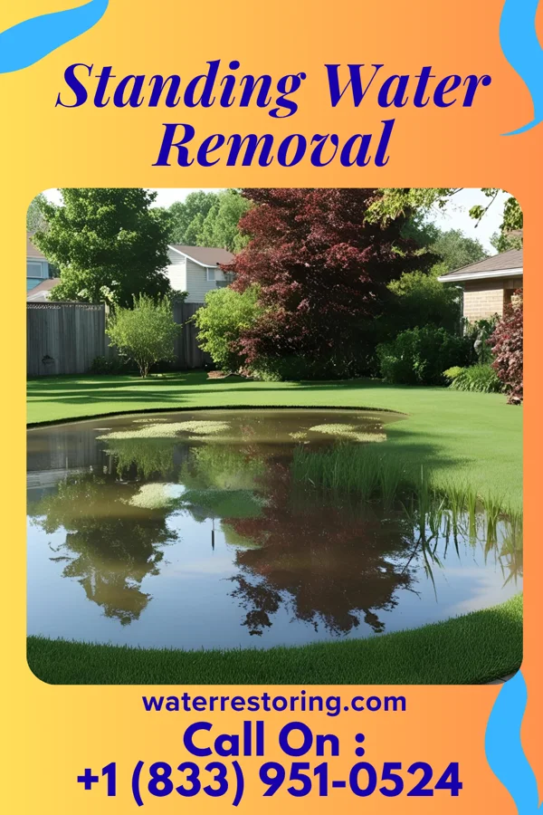 Standing Water Removal in Camp Springs, MD